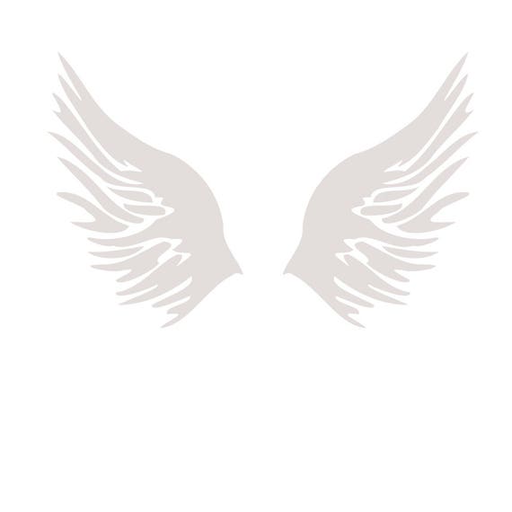 Download Wings SVG Design Cutting File also includes DXF PNG for