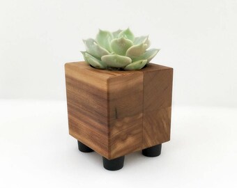 Small Succulent Pot - Cube Planter - Reclaimed Wood - Minimalist
