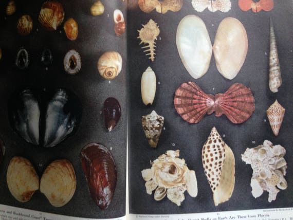 The National Geographic Magazine July 1949