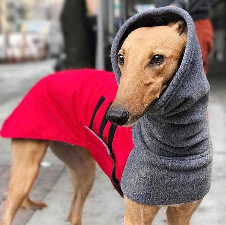 GREYHOUND Winter Dog Coat Dog Coat Winter Coat Dog Clothing