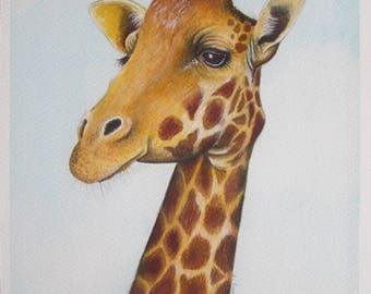 Giraffe. Signed, Limited Edition Giclee Print