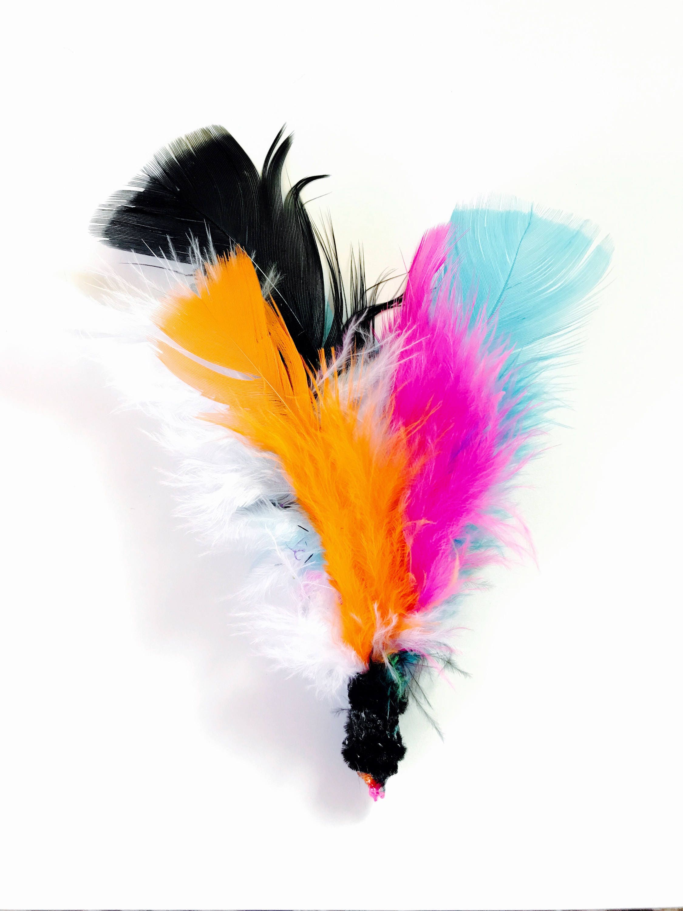 Feather Fun Cat Toys Feather Cat Toys Kitten Play Kitten