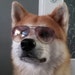 DarksideCookie97