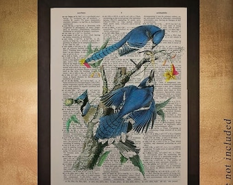 SALE-SHIPS Aug 22- Blue Jay Dictionary Art Print Audubon Bird Wall Art Fine Art Print Home Decor Fine Print book da475