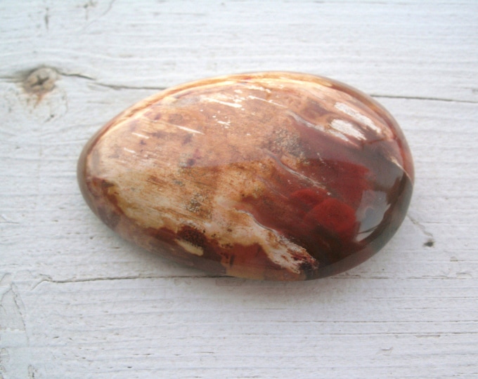 Polished Petrified Wood ,palm stone, display specimen, 63g, 2.2 oz, over 2 inches, metaphysical, salicified, fossil wood, meditation, decor