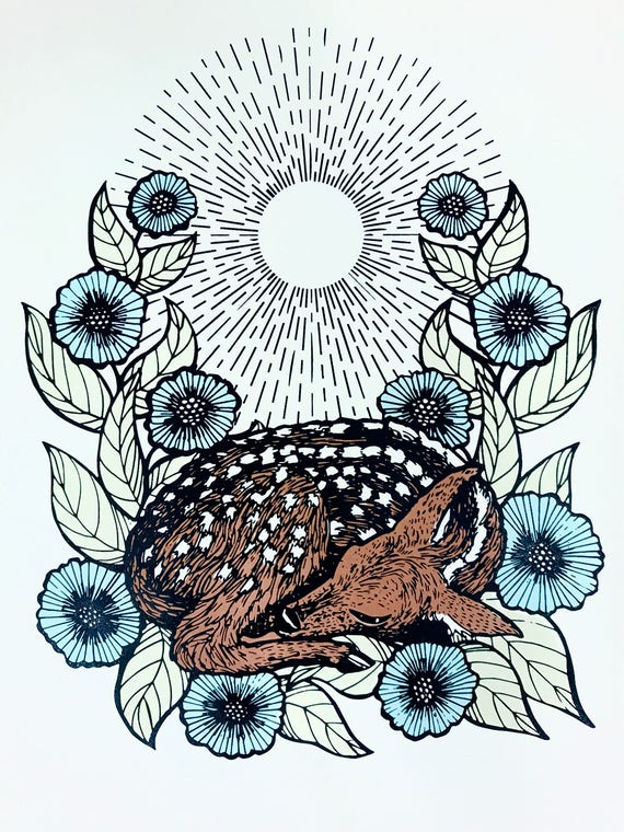 Sleeping Fawn Fine Art Print