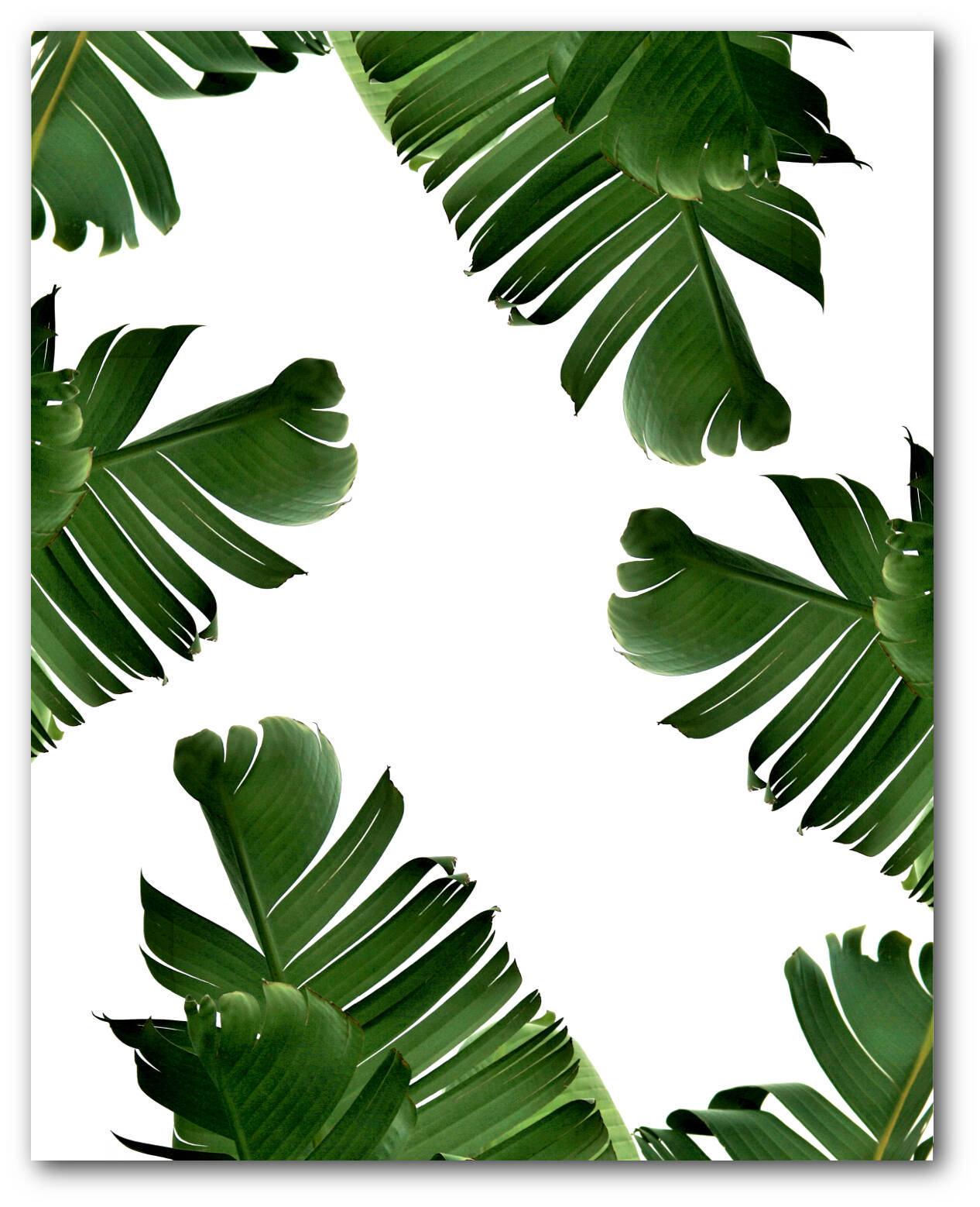 Banana Leaf Printable Printable Word Searches