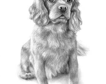 Graphite Pet Portrait Drawing Size 5 X 7 Custom Black And