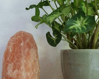 Table salt lamp pink wooden foot Himalayan salt Himalayan salt lamp