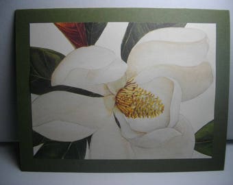 Magnolias 8-Card Box