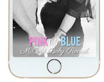 Baby Reveal Snapchat Custom Geofilter / Team Boy Team Girl Baby Shower / Gender Reveal SnapChat Filter