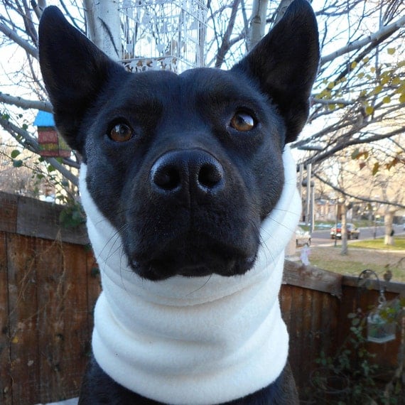 Dog Snood Neck Warmer Fleece Scarf Colorado Cowl Gaiter   Il 570xN.1297368355 3p3f 