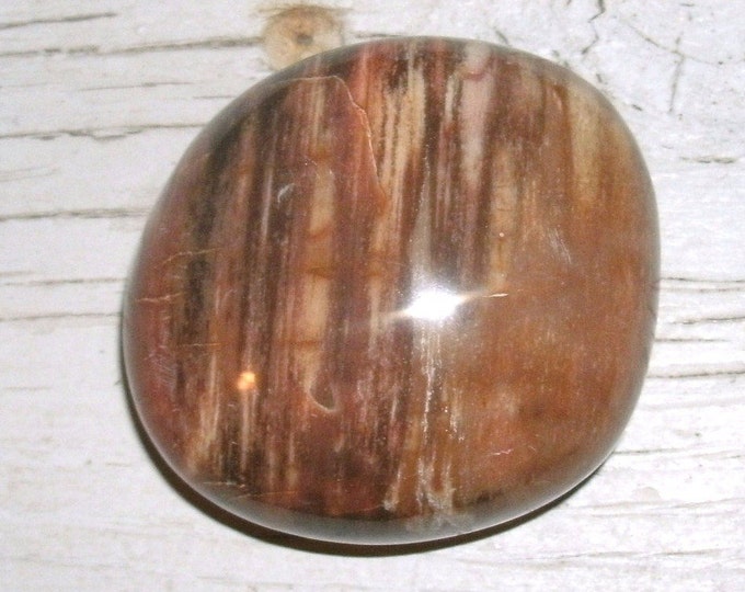 Fantastic Petrified Wood Polished palm stone, multicolored, several hues of browns and reds, metaphysical, meditation, fossil display, rocks