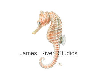 Seahorse Wall Decor seahorse decor | etsy Seahorse Wall Decor seahorse decor | etsy