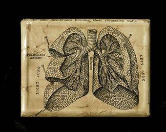 ID Cigarette Case / Lungs Anatomy Vintage