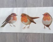 Robin wall sticker, Robin wall decal, Robin wall decals, Robin wall stickers, bird decals, robin wall sticker, bird wall stickers,