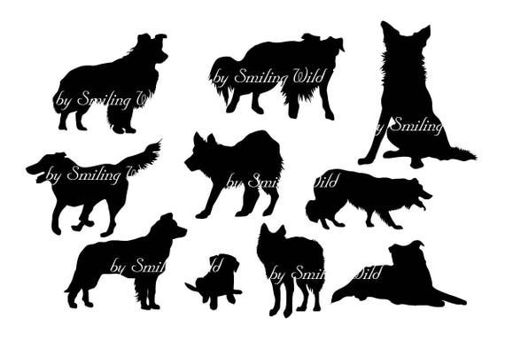 Download Border Collie svg border colly silhouette cliart Puppy ...