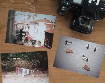 Birds and shopping cart, Postcard Set