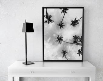 Palm Tree Print, Palm Decor, Palm Tree Art, Palm Tree Photo, Black and White Photography, Tropical Wall Art, California Print