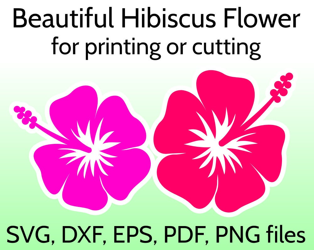 Download Hibiscus SVG Flower Cut File for Cricut & Silhouette Tropical