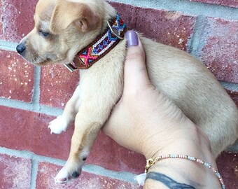 Leather Embroidered Dog Collar