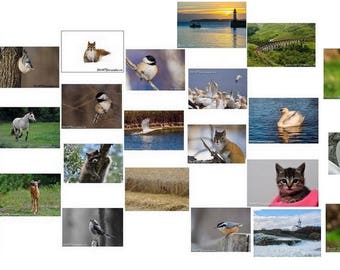 25 postcards from the nature collection.