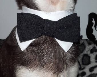 Top of Tuxedo bow tie for dog or cat