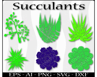 Download Succulent cricut | Etsy