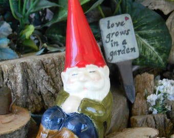 GARDEN GNOME SLEEPING Vintage Style Unieboek