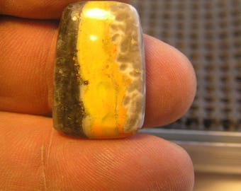 Bumblebee Jasper Freeform Designer Cabochon