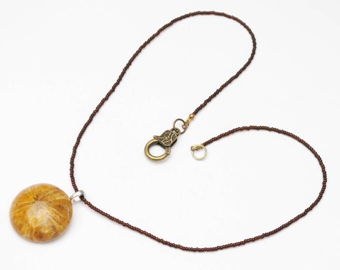 fossil sand dollar necklace - echinoderm pendant - Brownd domed round Shell- handmade bead necklace