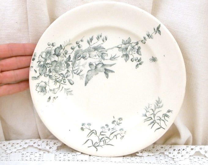 Antique French Ceramic Bird Pattern Plate, Dark Blue on White Blue Tits with Wild Rose Design, Victorian Decorative Dinnerware