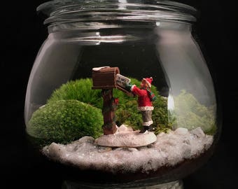 Image result for christmas terrarium