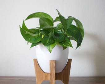 MOVING SALE: Tabletop Bell Mid-century Modern Planter, Plant Stand with 5.5" Bell Ceramic - White Oak