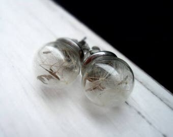 Earrings, studs, dandelion seeds, dandelion, dandelion flowers, stainless steel earrings, wish, desire