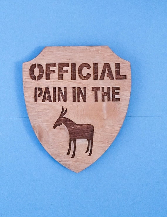 Official Pain in the Ass wall Sign plaque Gag Gift