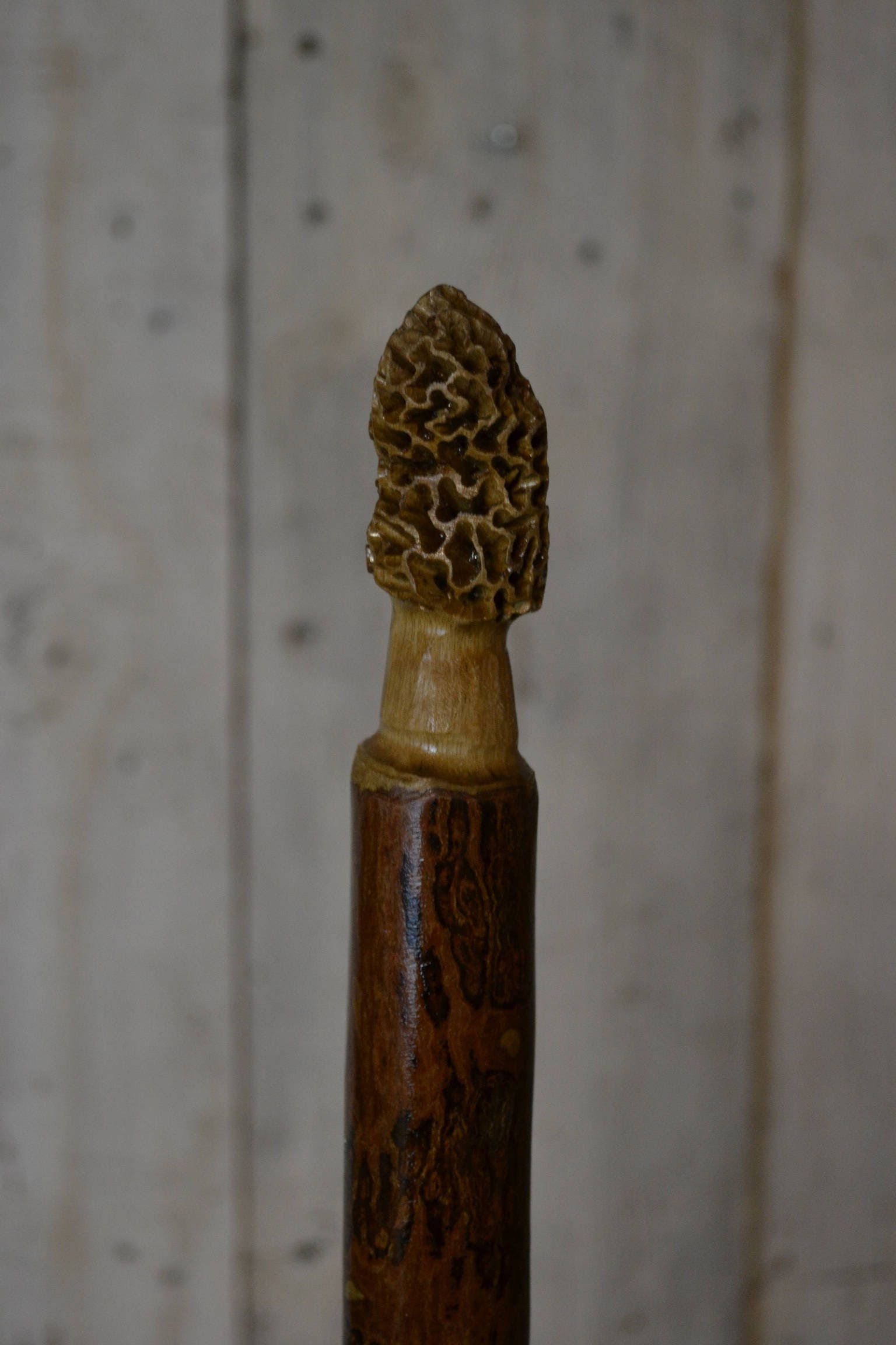 Morel Mushroom Carving in Persimmon Walking Stick