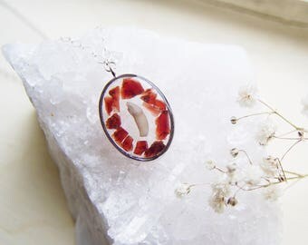 Real Raccoon Teeth Assorted 25 Pieces Stock No 1-1