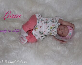 Reborn Baby, Liam 18" weighs 5.6 , cut mouth , pierced ears, Dewy skin, ready to ship!