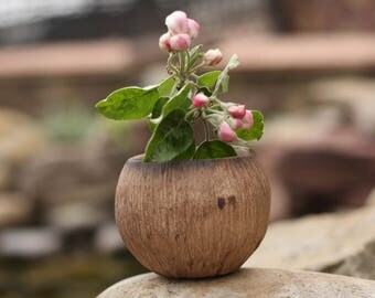 Rustic planter Succulent planter Ceramic planter Flower pot Indoor planter Small succulent pot Living room Cactus pot Mini planter Plant pot