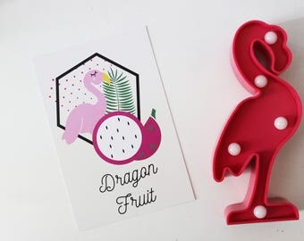 Map postcard Flamingo Dragon Fruit