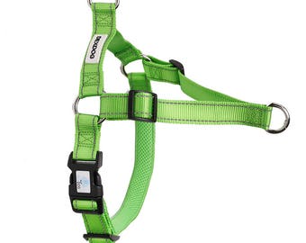 DEXDOG Easy Walking EZTrainer Dog Harness Turquoise Medium - Training No Pull Dog Harness Front Clip No Pulling Stop Pulling