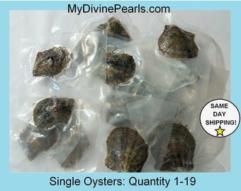 Akoya Oyster w/ Genuine Pearl! (Unopened /Vacuum Packed)