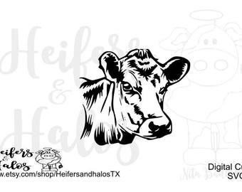 Download Bandana heifer cow svg pdf png eps dxf studio3 cut file