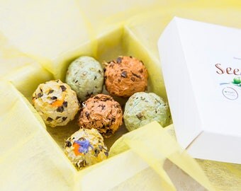 Seed bomb pack, herb, garden flowers and wildflower seed bombs, handmade seed bombs, eco friendly gift, plantable bee friendly flowers