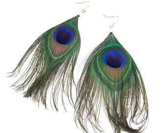 Earrings - peacock feathers