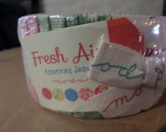 Fresh Air Jelly Roll by American Jane for Moda Fabrics