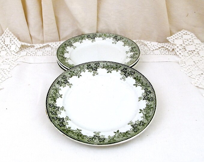 Antique French Ironware "Terre de Fer" St Amand et Hamage China Plate Dark Green Ivy and Wild Rose Pattern, Chateau, French Country Decor Antique French Ironware "Terre de Fer" St Amand et Hamage China Plate Dark Green Ivy and Wild Rose Pattern, Chateau, French Country Decor