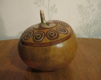 box squash gourd type flat Corsica 8 original
