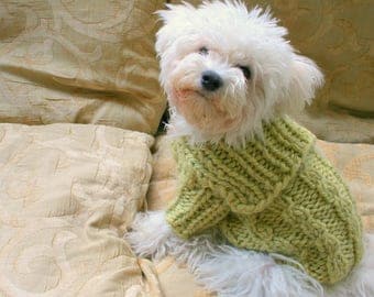 Winter Dog Sweater. Handmade Dog Clothes. Pet Clothing. Hand Knit Pastel Color Dog Clothes. Button Dog Sweater by BubaDog